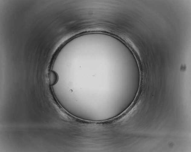 X0000101710789200807101407