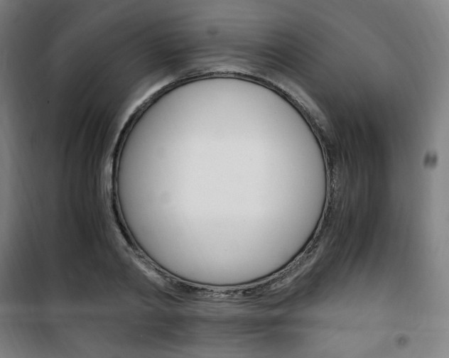 X0000101710790200807101407