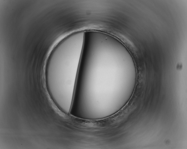 X0000101710792200807101407