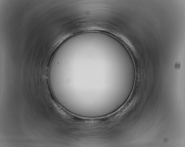 X0000101710793200807101407