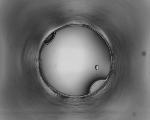 X0000101710795200807101407