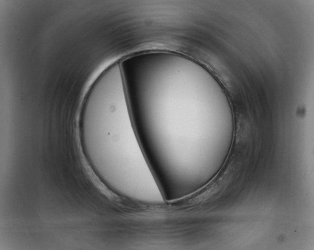 X0000101710796200807101407
