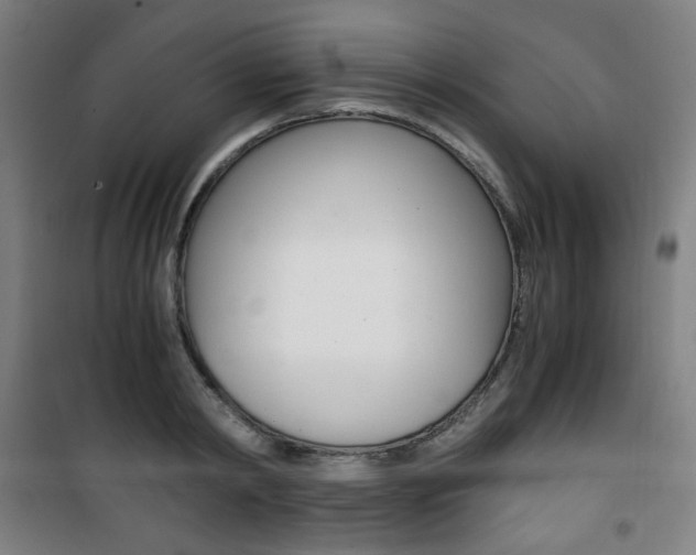 X0000101710798200807101407