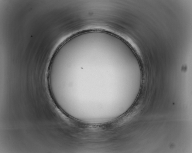 X0000101710799200807101407