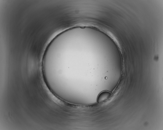 X0000101710803200807101407