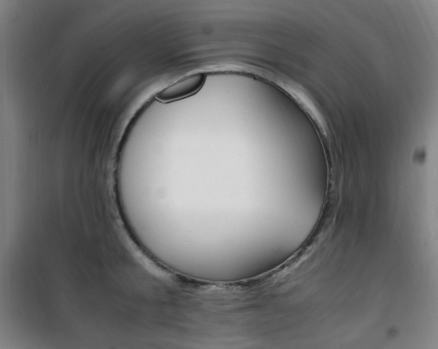 X0000101710805200807101407