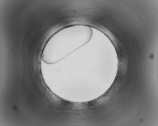 X0000101710807200807101407
