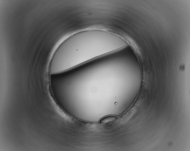 X0000101710808200807101407