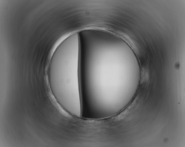 X0000101710812200807101407