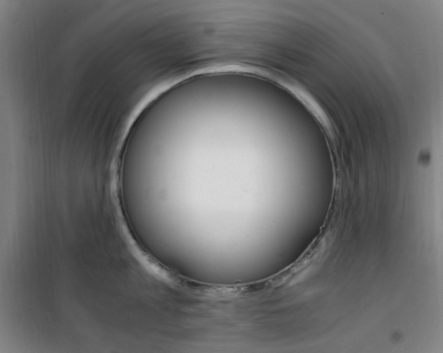 X0000101710813200807101407