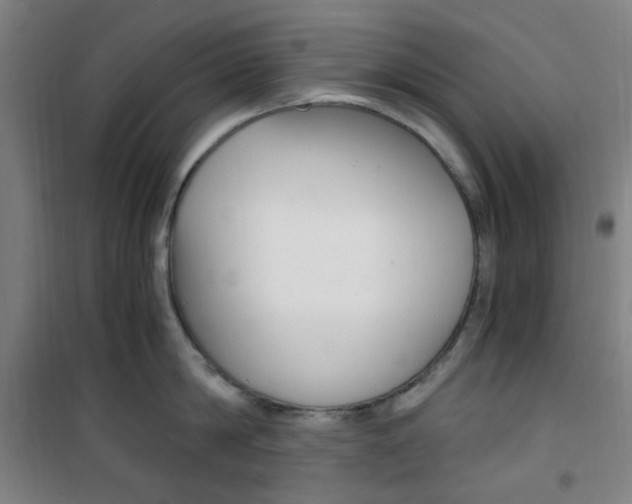 X0000101710814200807101407