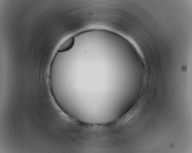 X0000101710815200807101407