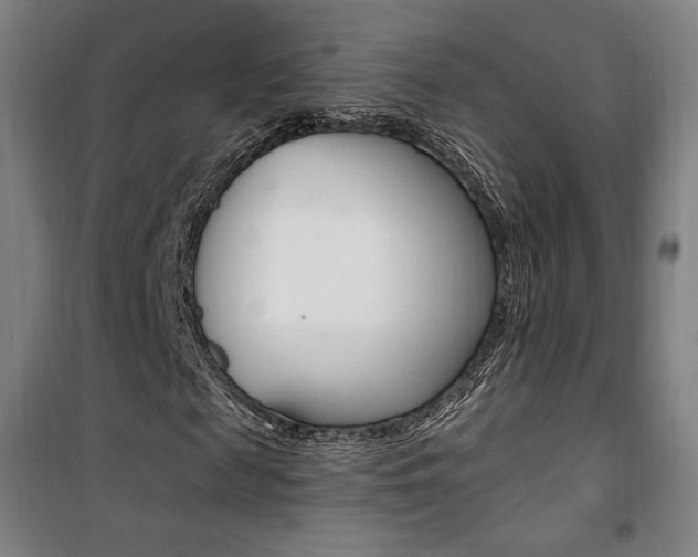 X0000101710817200807101406