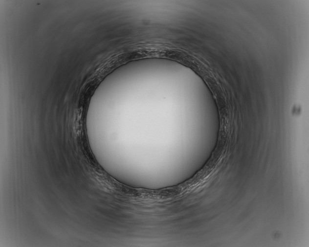 X0000101710818200807101406