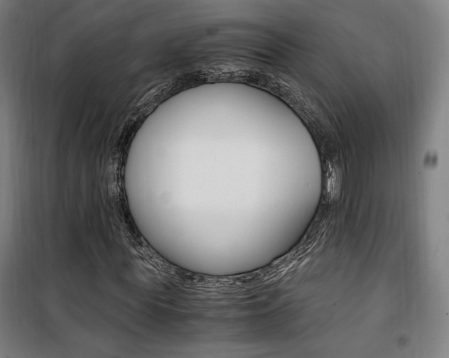 X0000101710819200807101406