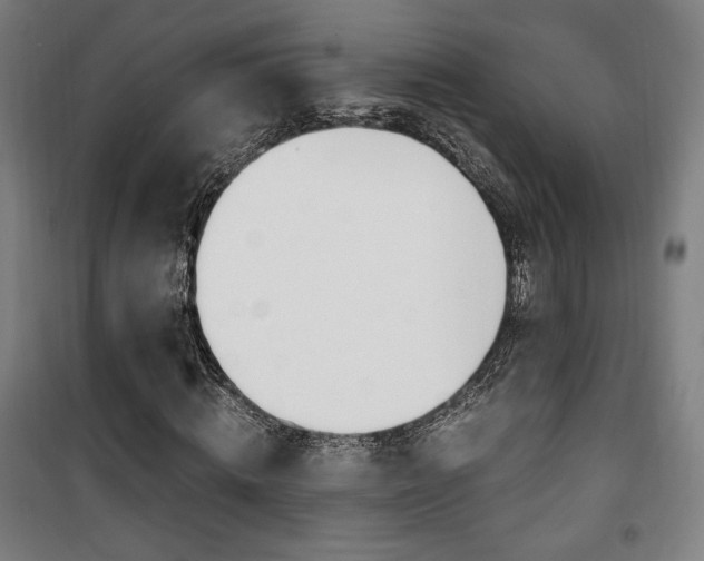X0000101710820200807101406