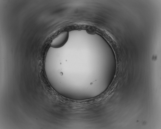 X0000101710821200807101406