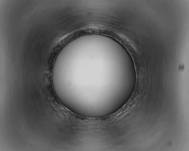 X0000101710822200807101406
