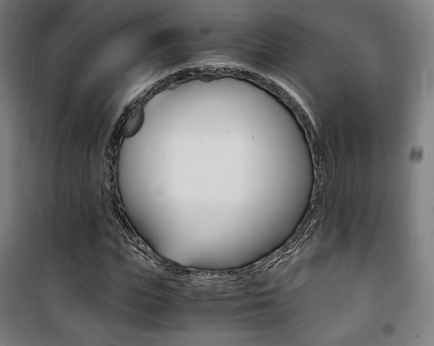 X0000101710823200807101406
