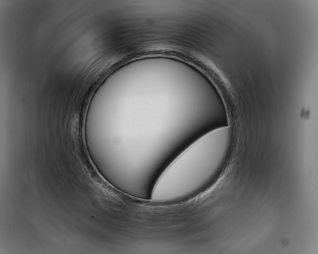 X0000101710825200807101406