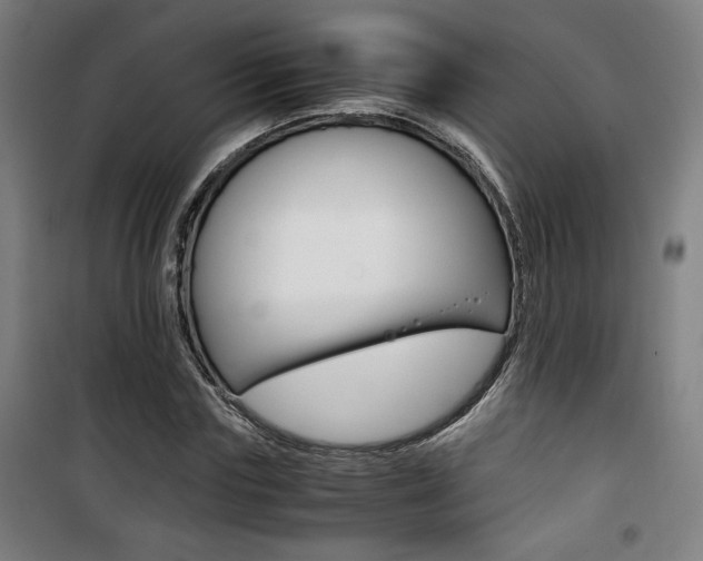 X0000101710827200807101406