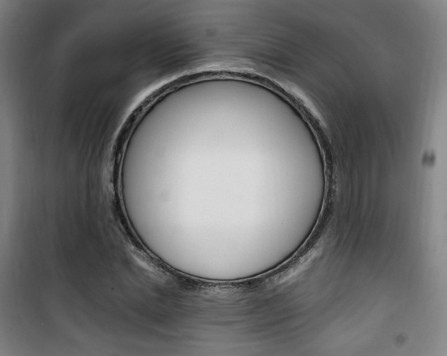 X0000101710830200807101406