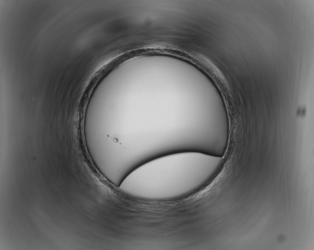 X0000101710831200807101406
