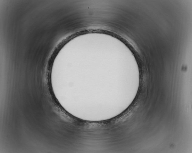 X0000101710832200807101406