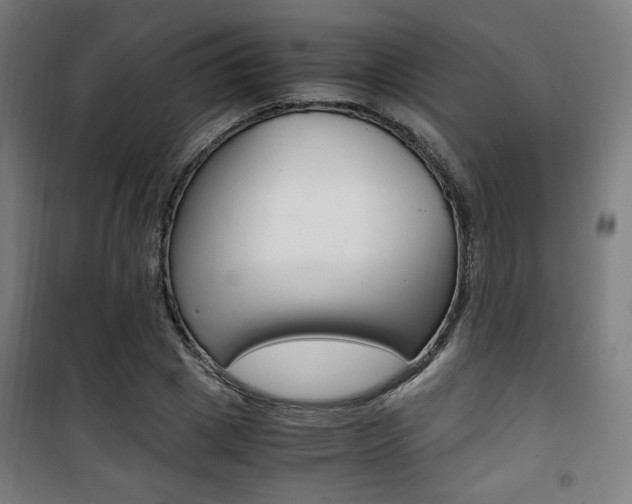 X0000101710833200807101406
