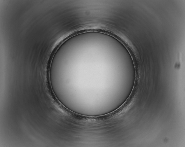 X0000101710834200807101406