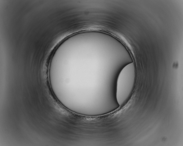 X0000101710835200807101406