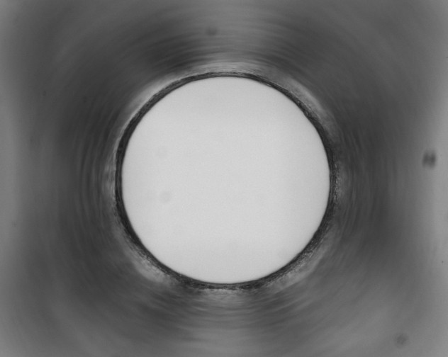 X0000101710836200807101406