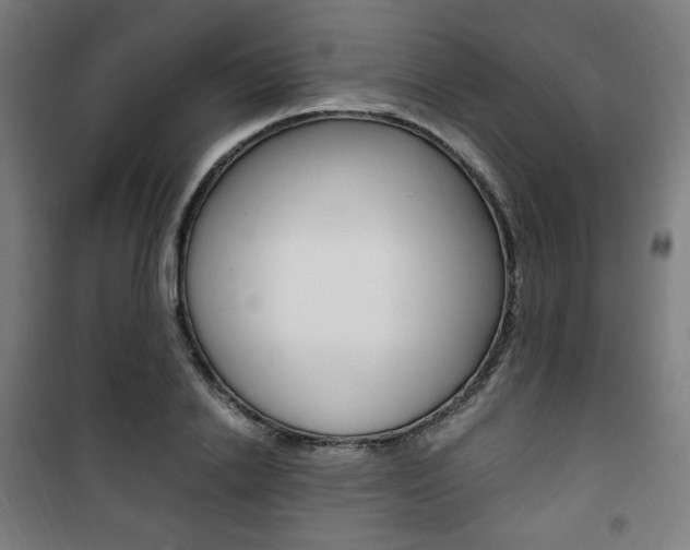 X0000101710838200807101406