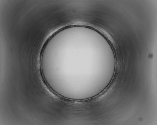 X0000101710839200807101406