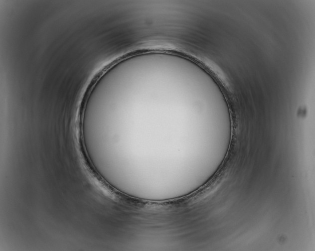 X0000101710840200807101406
