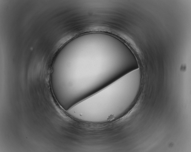 X0000101710841200807101406