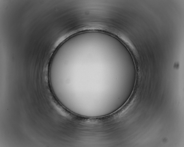 X0000101710842200807101406