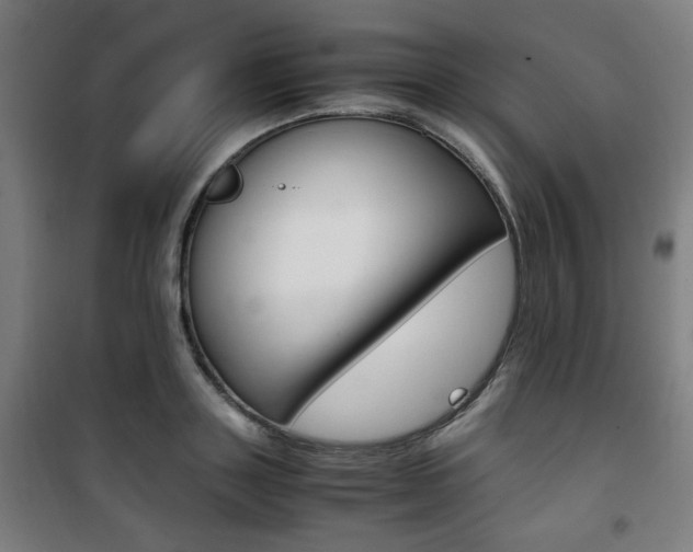 X0000101710843200807101406
