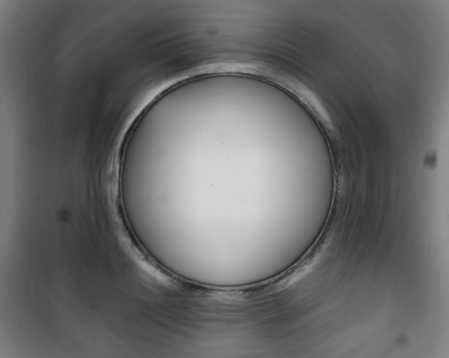 X0000101710844200807101406