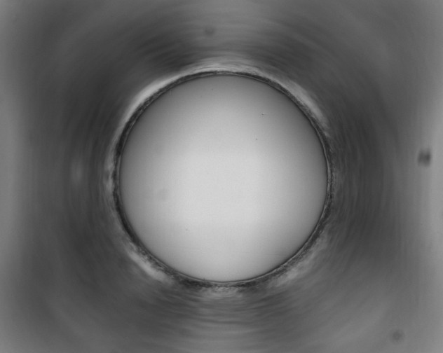 X0000101710846200807101407