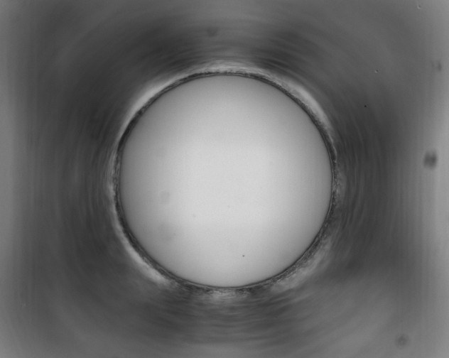 X0000101710847200807101407