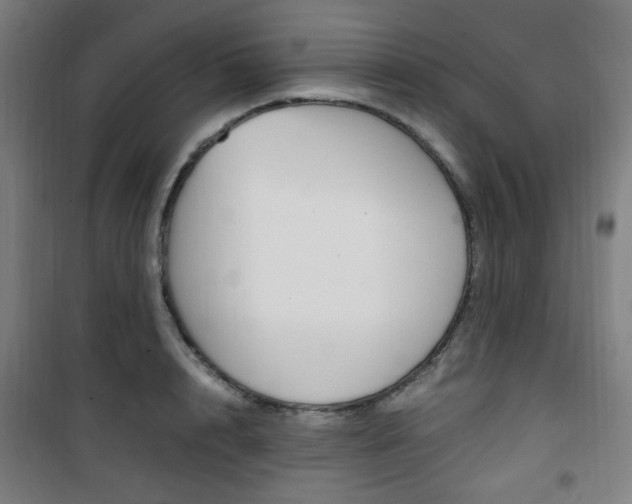 X0000101710848200807101407