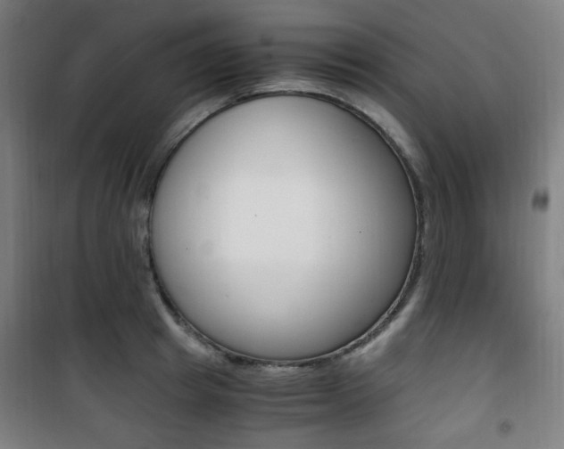 X0000101710849200807101407