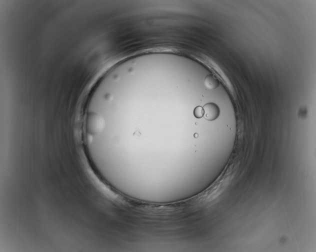 X0000101710851200807101407