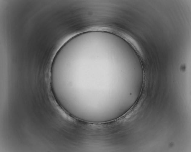 X0000101710852200807101407