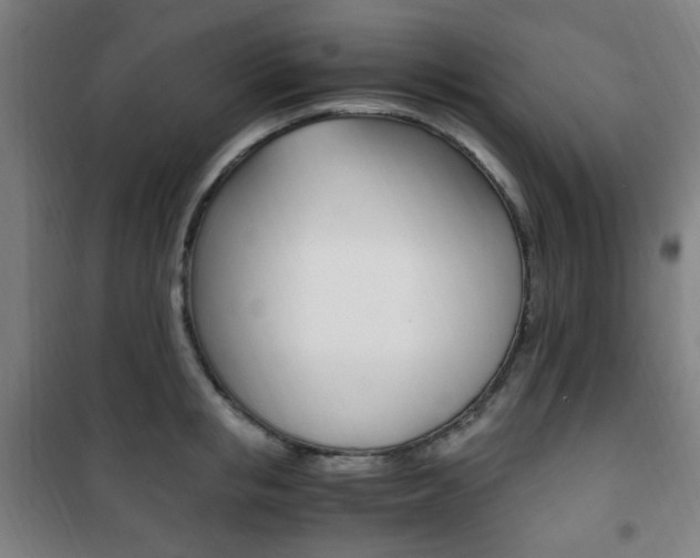 X0000101710853200807101407