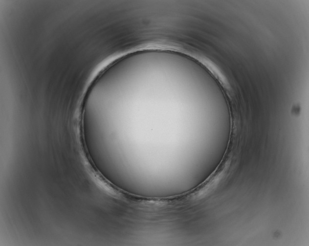 X0000101710854200807101407