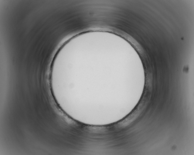 X0000101710856200807101407