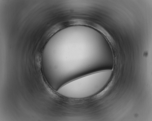 X0000101710857200807101407