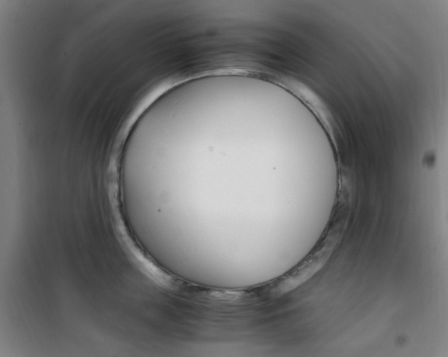 X0000101710859200807101407